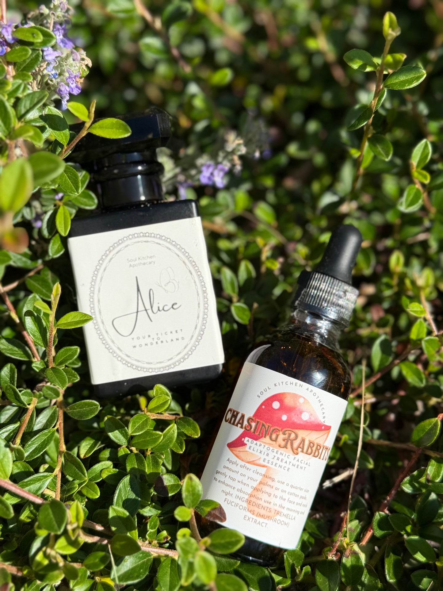 Alice Botanical Perfume – Sugar Plum + Vanilla Bean