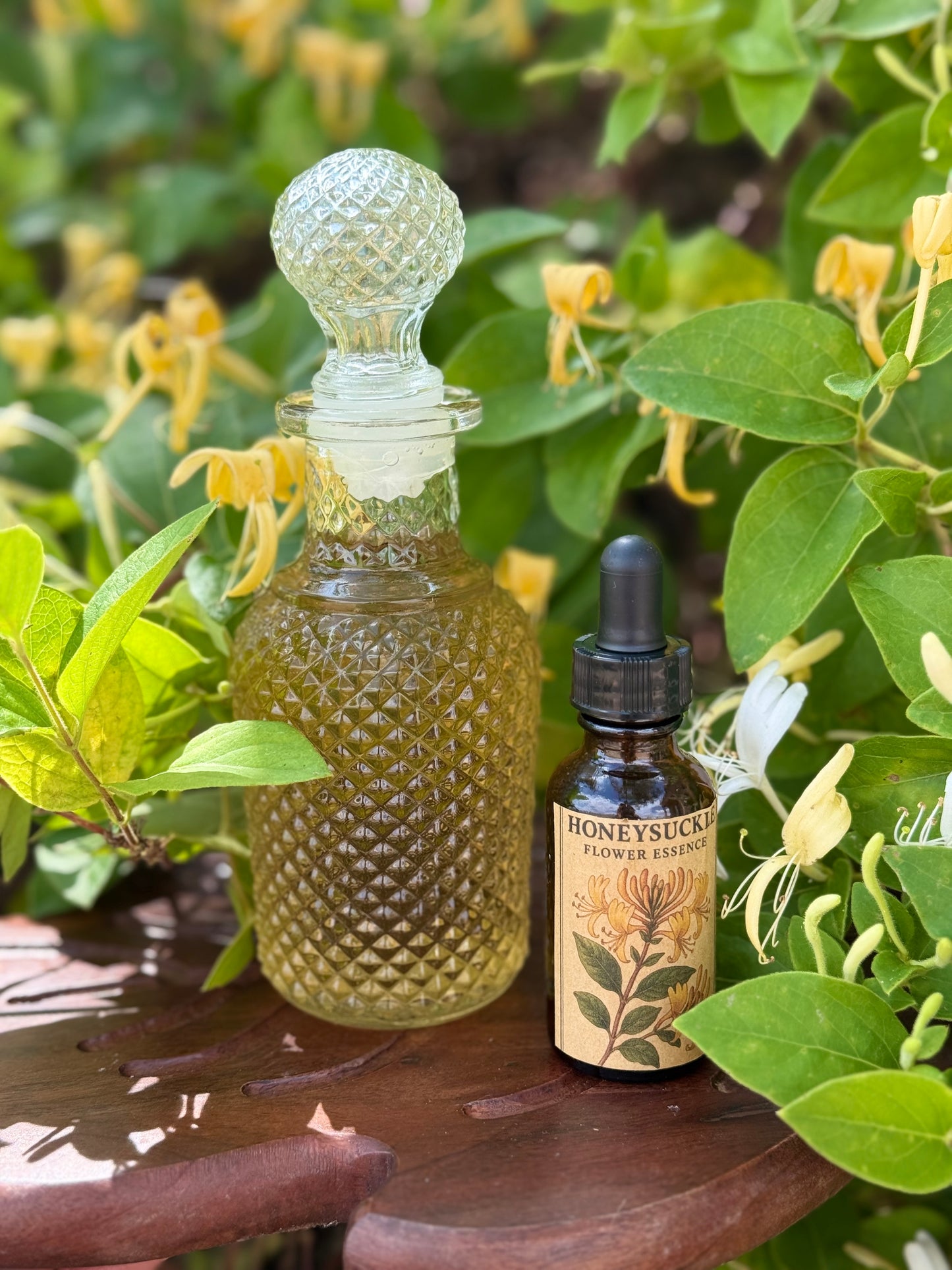 Honeysuckle Heart | Flower Essence for Grief & Emotional Healing (Alcohol-Free)