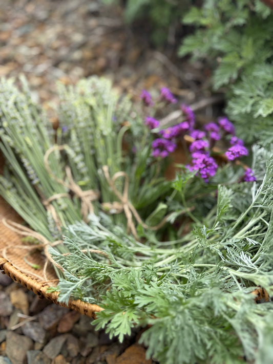 Lavender Bundles