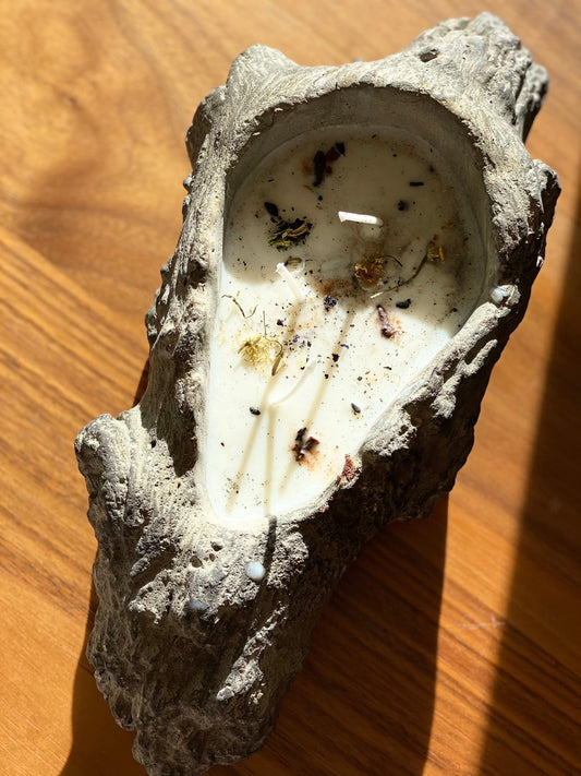Our House Candle (Driftwood Candle) Soul Kitchen Apothecary