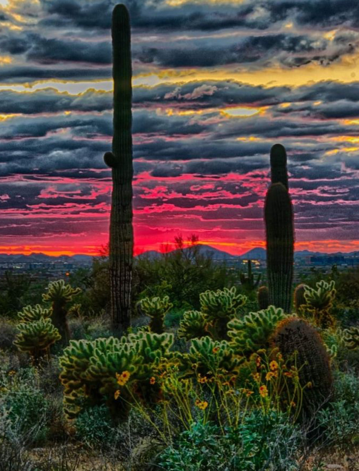 Sonoran Sunset – Room, Linen & Body Spray