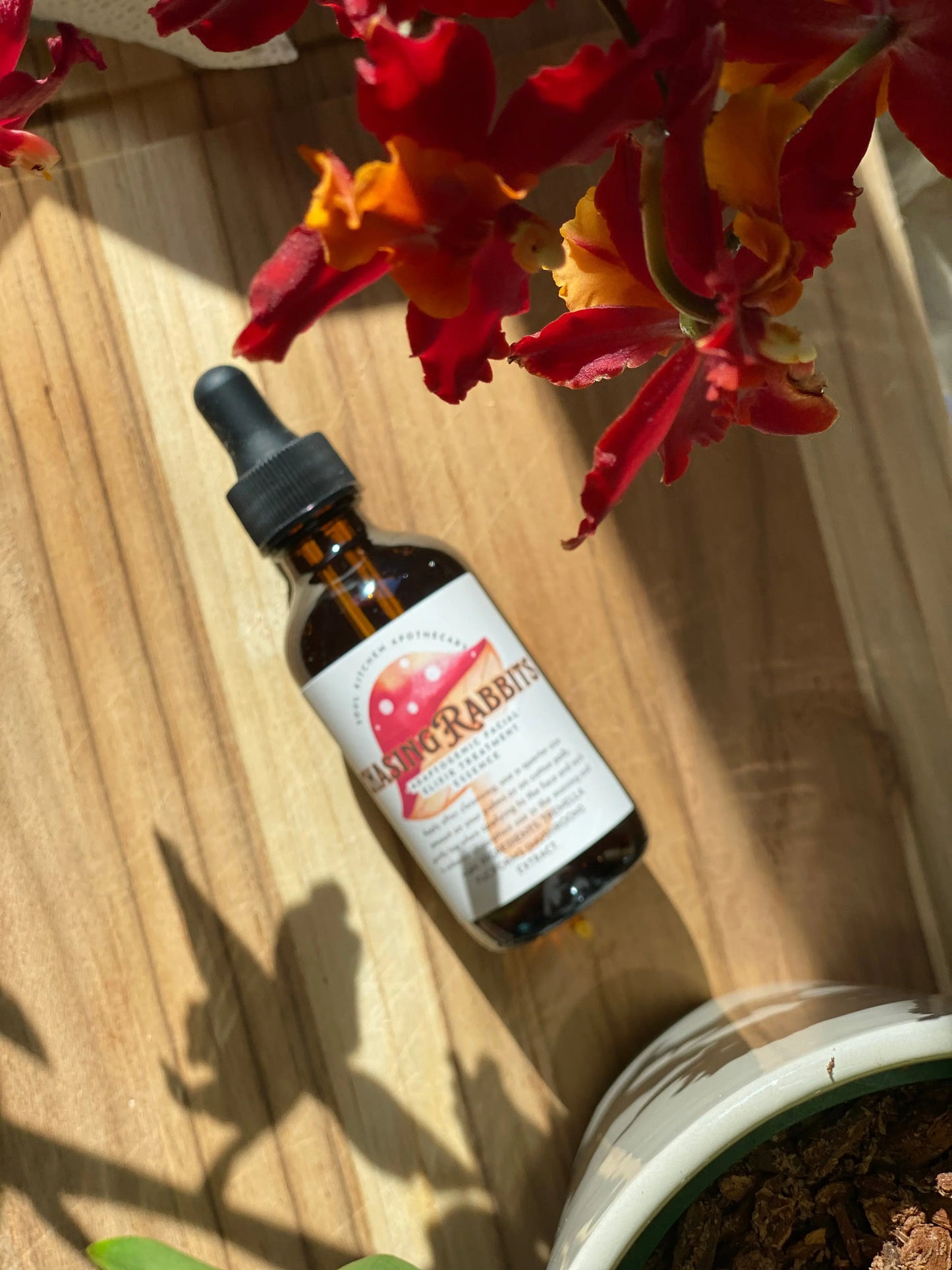 Chasing Rabbits Facial Elixir Soul Kitchen Apothecary